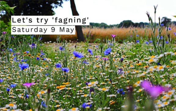 Let¨s try fagning
