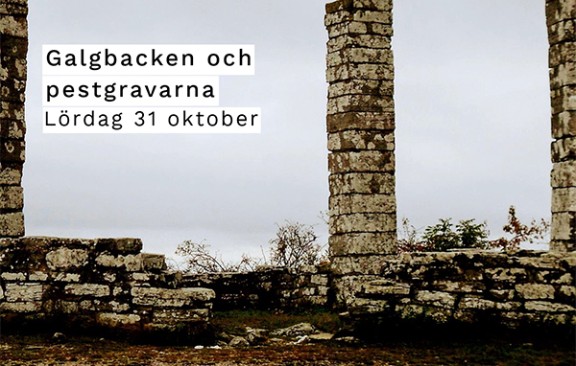 Guidade turer med Mikael Norrby