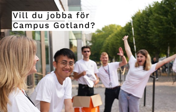 Studentvärdar