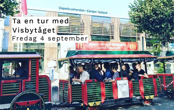 Studentvärdar