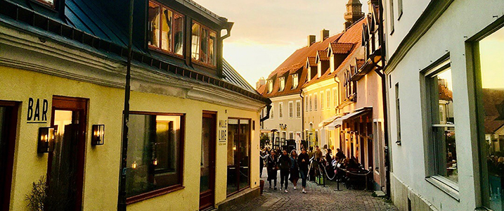 Vy över Almedalen och Visby
